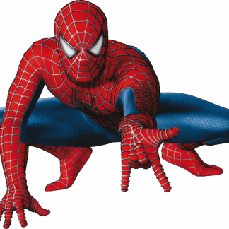Super Hero Play Session
